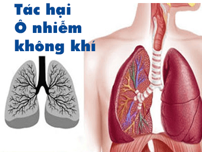 Ô nhiễm không khí trong nhà có tác động gì đến phổi ? 