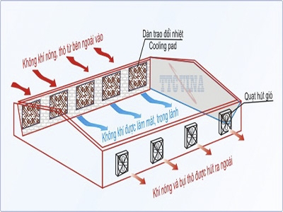 Hệ thống làm mát nhà xưởng bằng hơi nước gồm những loại nào và có ưu điểm gì?