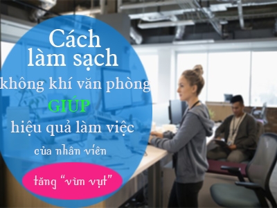 Các cách làm sạch không khí văn phòng giúp hiệu quả làm việc của nhân viên tăng 