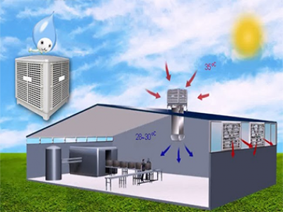 Mô hình làm mát công nghệ cao hiệu quả cho nhà xưởng