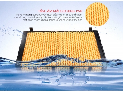 Mua tấm làm mát cooling Pad chính hãng ở đâu