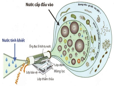 Sơ đồ máy lọc nước RO và những đặc điểm cần lưu ý khi sử dụng