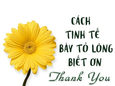 Những cách tinh tế giúp bạn bày tỏ lòng biết ơn trong mối quan hệ công sở