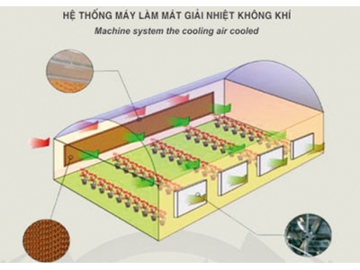 Nguyên lý làm việc của hệ thống làm mát bằng nước