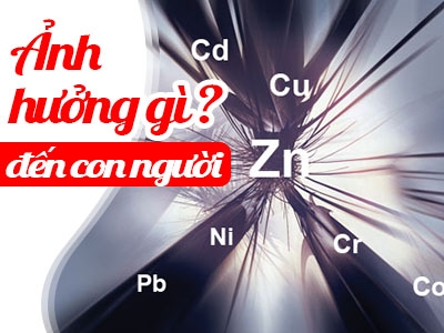 Kim loại nặng trong nguồn nước và những ảnh hưởng của chúng đến sức khoẻ con người