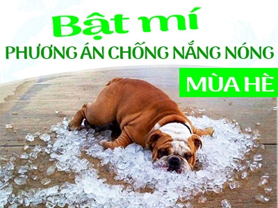 Bật mí phương án chống nóng mùa hè, phòng ngừa say nắng cho trẻ nhỏ an toàn tuyệt  đối