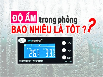 Độ ẩm trong phòng bao nhiêu là tốt nhất cho sức khỏe con người?