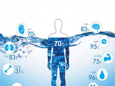 Nước có vai trò và quan trong như thế nào đối với cơ thể con người?